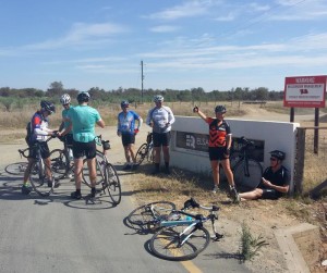 Teamwork in the heat